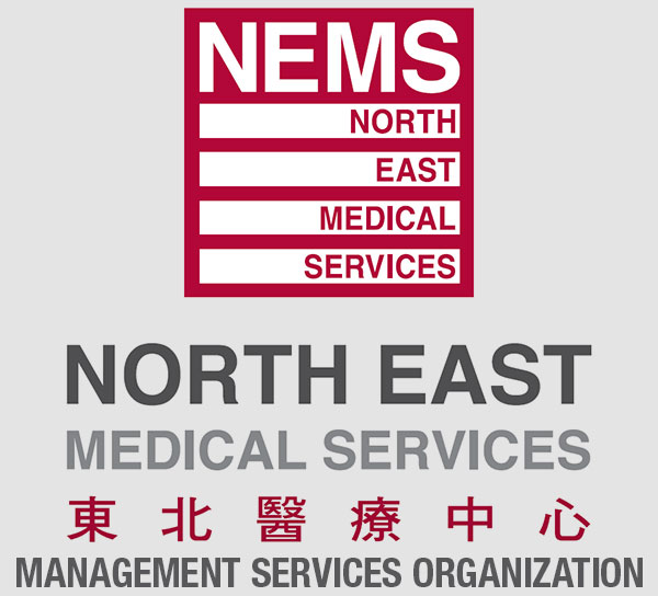 NEMSMSO Logo